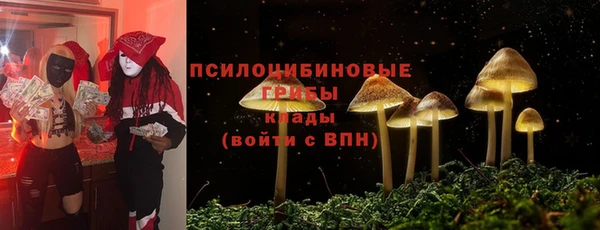 синтетический гашиш Дмитровск