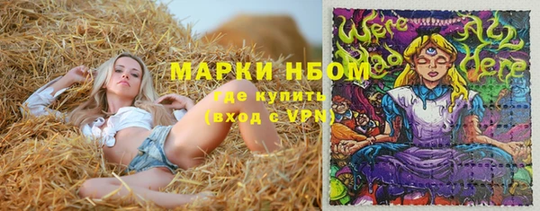 крисы Абдулино