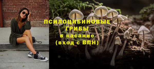 гашик Абинск